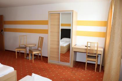 Lenas Donau Hotel - image 14