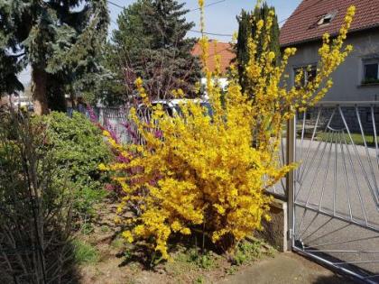 Garden Apartment Donau-City (P&R) - image 15