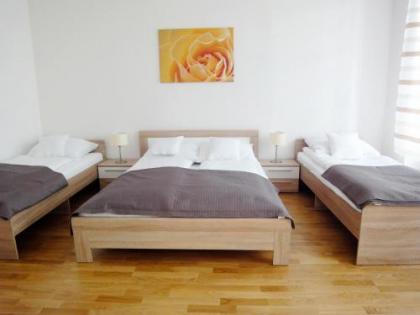 Exclusive Vienna Apartment - image 11