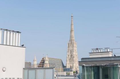 Rooftop Stephansdom - image 12