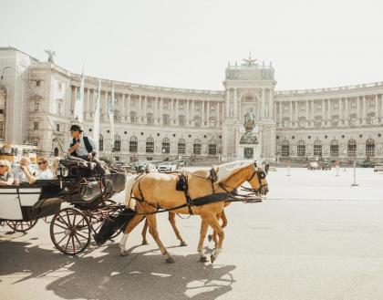 Das schöne Wien - image 3